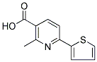 2-METHYL-6-THIEN-2-YLNICOTINIC ACID Struktur