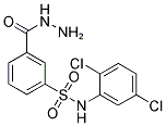 N-(2,5-DICHLORO-PHENYL)-3-HYDRAZINOCARBONYL-BENZENESULFONAMIDE Struktur