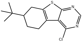 7-TERT-BUTYL-4-CHLORO-5,6,7,8-TETRAHYDRO-BENZO[4,5]THIENO[2,3-D]PYRIMIDINE Struktur