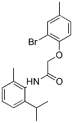 AURORA 724 Struktur