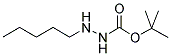 N2-PENTYL-T-BUTYLCARBAZATE Struktur