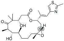 EPOB Struktur