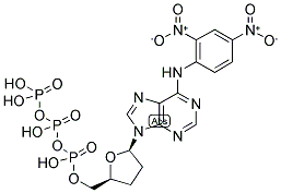 DNP-N6-DDATP Struktur