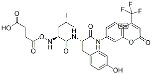 CALPAIN SUBSTRATE, SUCCINYL, FLUOROGENIC