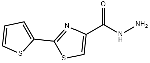 2-(2-THIENYL)-1,3-THIAZOLE-4-CARBOHYDRAZIDE Struktur