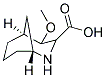 4-METHOXY-2-AZABICYCLO[3,3,1] OCTANYL-3-FORMIC ACID Struktur