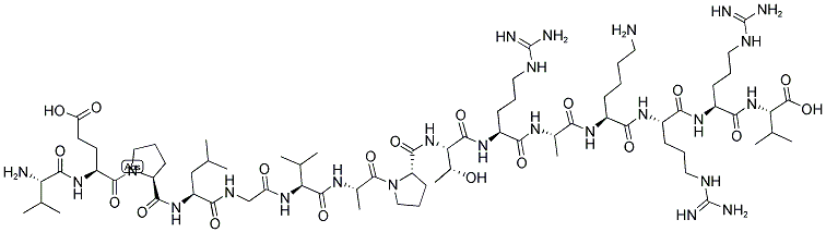 GP120-W61D-125 Struktur