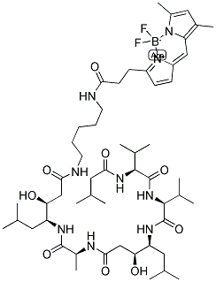 PEPSTATIN A, BODIPY(R) FL CONJUGATE Struktur