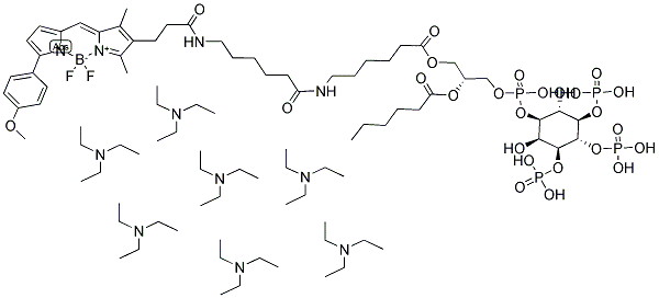 BODIPY(R) TMR-X C6-PHOSPHATIDYLINOSITOL 3,4,5-TRIPHOSPHATE, HEPTA(TRIETHYLAMMONIUM) SALT Struktur