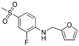 N-[2-FLUORO-4-(METHYLSULFONYL)PHENYL]-N-(2-FURYLMETHYL)AMINE Struktur