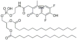 MARINA BLUE(R) 1,2-DIHEXADECANOYL-SN-GLYCERO-3-PHOSPHOETHANOLAMINE Struktur