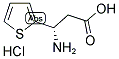 (S)-3-AMINO-3-(2-THIENYL)-PROPANOIC ACID HYDROCHLORIDE Struktur