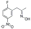 (2-FLUORO-5-NITROPHENYL)ACETONE OXIME Struktur