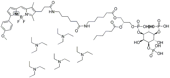 BODIPY(R) TMR-X C6-PHOSPHATIDYLINOSITOL 3,5-DIPHOSPHATE, PENTA(TRIETHYLAMMONIUM) SALT Struktur