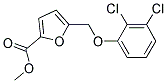 5-(2,3-DICHLORO-PHENOXYMETHYL)-FURAN-2-CARBOXYLIC ACID METHYL ESTER Struktur