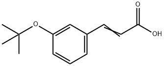 (3E)-3-(3-TERT-BUTOXY-PHENYL)-ACRYLIC ACID Struktur