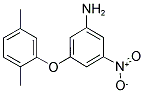 3-(2,5-DIMETHYL-PHENOXY)-5-NITRO-PHENYLAMINE Struktur