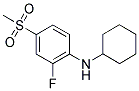 N-CYCLOHEXYL-N-[2-FLUORO-4-(METHYLSULFONYL)PHENYL]AMINE Struktur