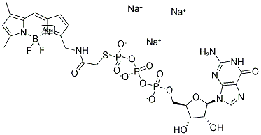 BODIPY(R) FL GTP-GAMMA-S, THIOETHER, TRISODIUM SALT Struktur