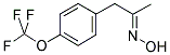 (4-(TRIFLUOROMETHOXY)PHENYL)ACETONE OXIME Struktur