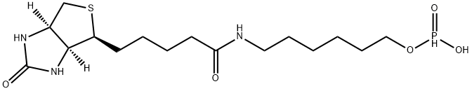 6-N-BIOTINYLAMINOHEXYL HYDROGENPHOSPHONATE Struktur