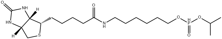 6-N-BIOTINYLAMINOHEXYL ISOPROPYL HYDROGENPHOSPHONATE Struktur