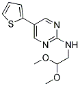 N-(2,2-DIMETHOXYETHYL)-5-THIEN-2-YLPYRIMIDIN-2-AMINE Struktur