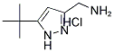 C-(5-TERT-BUTYL-1H-PYRAZOL-3-YL)-METHYLAMINE HYDROCHLORIDE Struktur