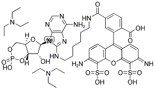 ALEXA FLUOR(R) 488 8-(6-AMINOHEXYL)AMINOADENOSINE 3',5'-CYCLICMONOPHOSPHATE, BIS(TRIETHYLAMMONIUM SALT) Struktur