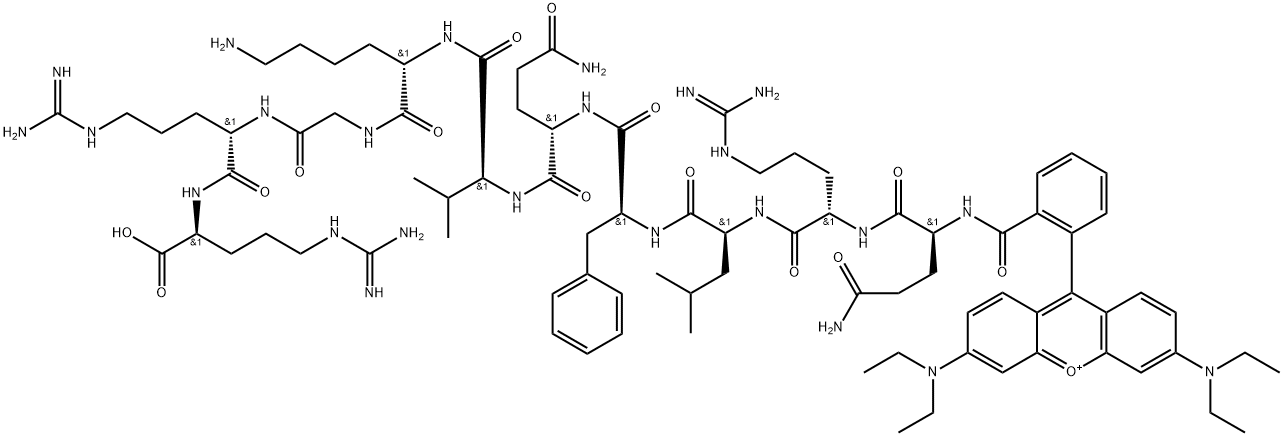 PBP10 Struktur