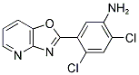 2,4-DICHLORO-5-OXAZOLO[4,5-B]PYRIDIN-2-YL-PHENYLAMINE Struktur