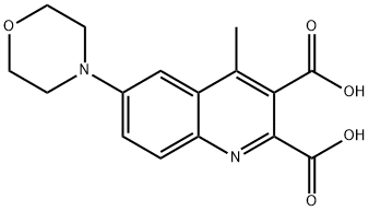 4-METHYL-6-MORPHOLINO-2,3-QUINOLINEDICARBOXYLIC ACID Struktur