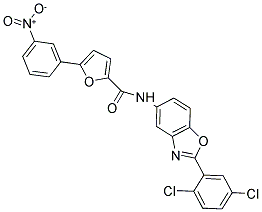 N-[2-(2,5-DICHLOROPHENYL)-1,3-BENZOXAZOL-5-YL]-5-(3-NITROPHENYL)-2-FURAMIDE Struktur