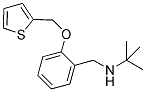 2-METHYL-N-(2-(THIEN-2-YLMETHOXY)BENZYL)PROPAN-2-AMINE Struktur