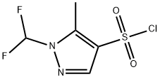 1-DIFLUOROMETHYL-5-METHYL-1H-PYRAZOLE-4-SULFONYL CHLORIDE Struktur