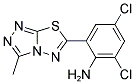 2,4-DICHLORO-6-(3-METHYL-[1,2,4]TRIAZOLO[3,4-B][1,3,4]THIADIAZOL-6-YL)-PHENYLAMINE Struktur