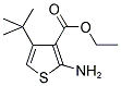 2-AMINO-4-TERT-BUTYL-THIOPHENE-3-CARBOXYLIC ACID ETHYL ESTER Struktur