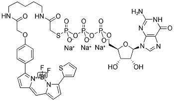 BODIPY(R) TR GTP-GAMMA-S, THIOESTER, SODIUM SALT Struktur