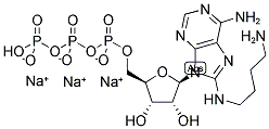 8-[(4-AMINO)BUTYL]-AMINO-ADENOSINE-5'-TRIPHOSPHATE, SODIUM SALT Struktur