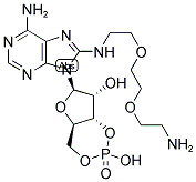 8-(8-AMINO-3, 6-DIOXAOCTYLAMINO) ADENOSINE-3',5'-CYCLIC MONOPHOSPHATE Struktur