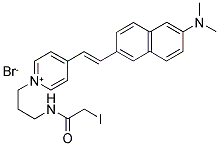 DI-1-ANEPIA Struktur