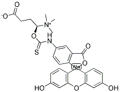 N-(5-FLUORESCEINYL)-L-CARNITINE-O-THIOCARBAMATE Struktur