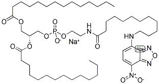 N-(NBD-AMINODODECANOYL)-1,2-DIMYRISTOYL-SN-GLYCERO-3-PHOSPHOETHANOLAMINE SODIUM SALT Struktur