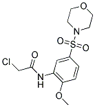 2-CHLORO-N-[2-METHOXY-5-(MORPHOLINE-4-SULFONYL)-PHENYL]-ACETAMIDE Struktur