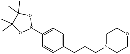 4-[3-[4-(4,4,5,5-TETRAMETHYL-[1,3,2]DIOXABOROLAN-2-YL)-PHENYL]-PROPYL]-MORPHOLINE Struktur