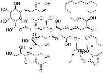 BODIPY(R) FL C5-GANGLIOSIDE GM1 COMPLEXED TO BSA Struktur