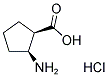 CIS-2-AMINO-1-CYCLOPENTANECARBOXYLIC ACID HYDROCHLORIDE Struktur