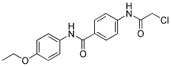 4-(2-CHLORO-ACETYLAMINO)-N-(4-ETHOXY-PHENYL)-BENZAMIDE Struktur