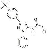 N-[5-(4-TERT-BUTYL-PHENYL)-2-PHENYL-2H-PYRAZOL-3-YL]-2-CHLORO-ACETAMIDE Struktur