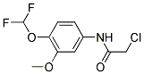 2-CHLORO-N-(4-DIFLUOROMETHOXY-3-METHOXY-PHENYL)-ACETAMIDE Struktur